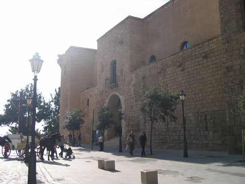 �A�����_�C�i�{�a�̔�����